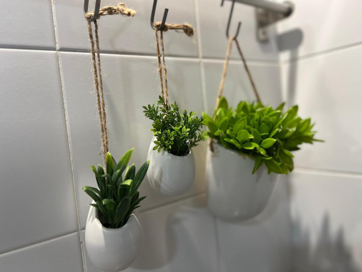Lovely&Charming Anita'S Apartment ポンタ・デルガダ エクステリア 写真