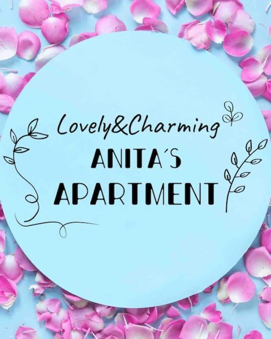 Lovely&Charming Anita'S Apartment ポンタ・デルガダ エクステリア 写真